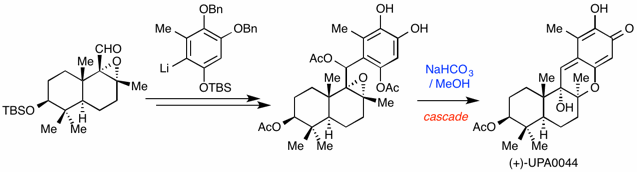 total synthesis of UPA0044