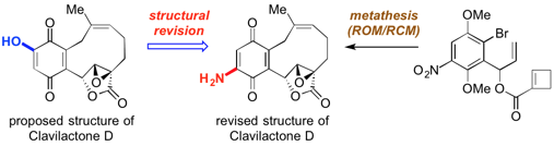total synthesis of clavilactone D