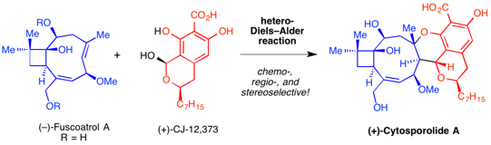 total synthesis of cytosporolide A