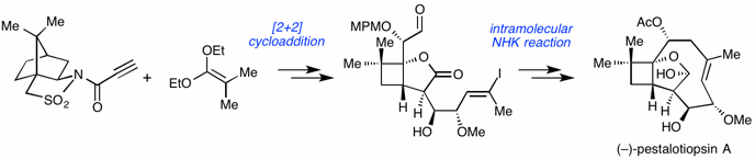 total synthesis of pestalotiopsin