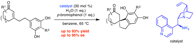 construction of spiroindanes