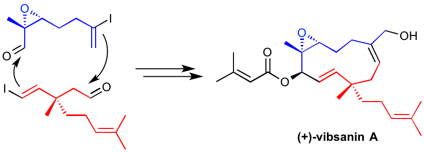 total synthesis of vibsanin A
